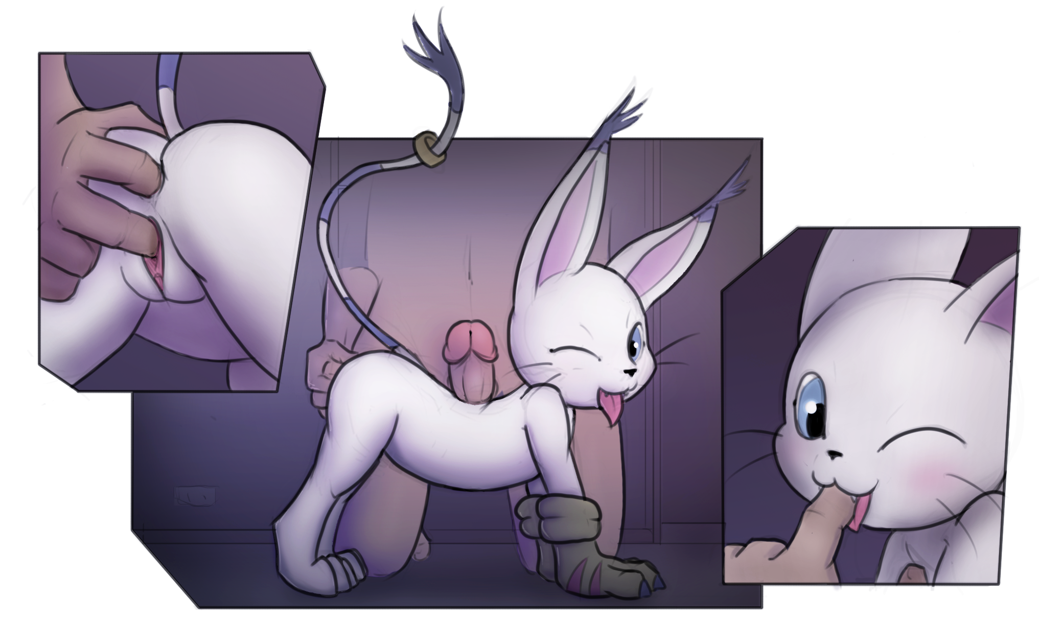 Rule34 – If it exists, there is porn of it / kekitopu, gatomon / 142533