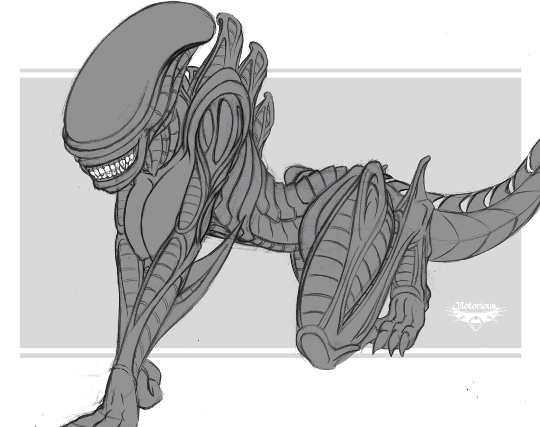 Rule34 – If it exists, there is porn of it / notorious, xenomorph / 143039