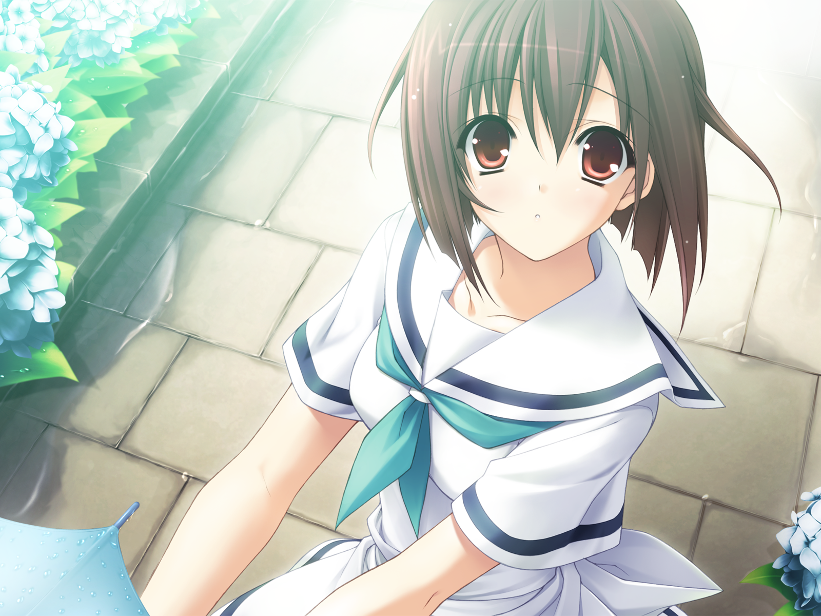suzuhira hiro, amesarasa, highres, brown hair, dress, flower, hair between eyes, red eyes, sailor dress, school uniform, short hair, solo