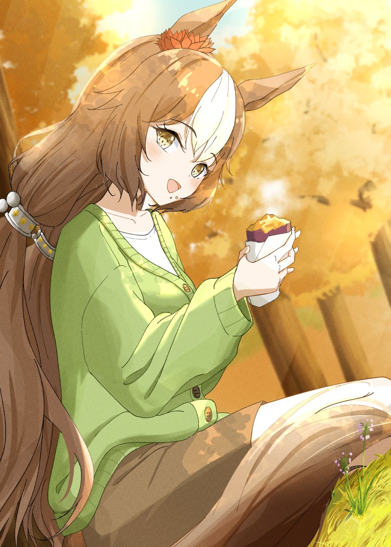 ka ga chi, satono diamond (umamusume), umamusume, 1girl, animal ears, blue sky, blush, breasts, brown eyes, brown hair, cardigan, crumbs, double-parted bangs, eating, flower, food, food on face, grass, green cardigan, hair between eyes, hair ornament, holding, holding food, horse ears, horse girl, long hair, long sleeves, looking at viewer, multicolored hair, open mouth, outdoors, pants, potato, roasted sweet potato, shirt, sky, smile, solo, streaked hair, sweet potato, tree, very long hair, white shirt