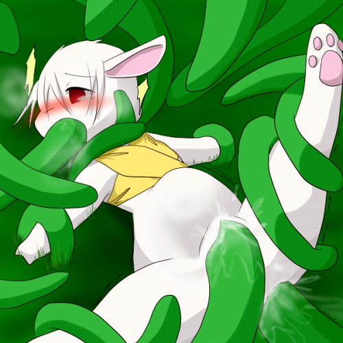 Rule34 – If it exists, there is porn of it / tsubasa1110, alice / 143838