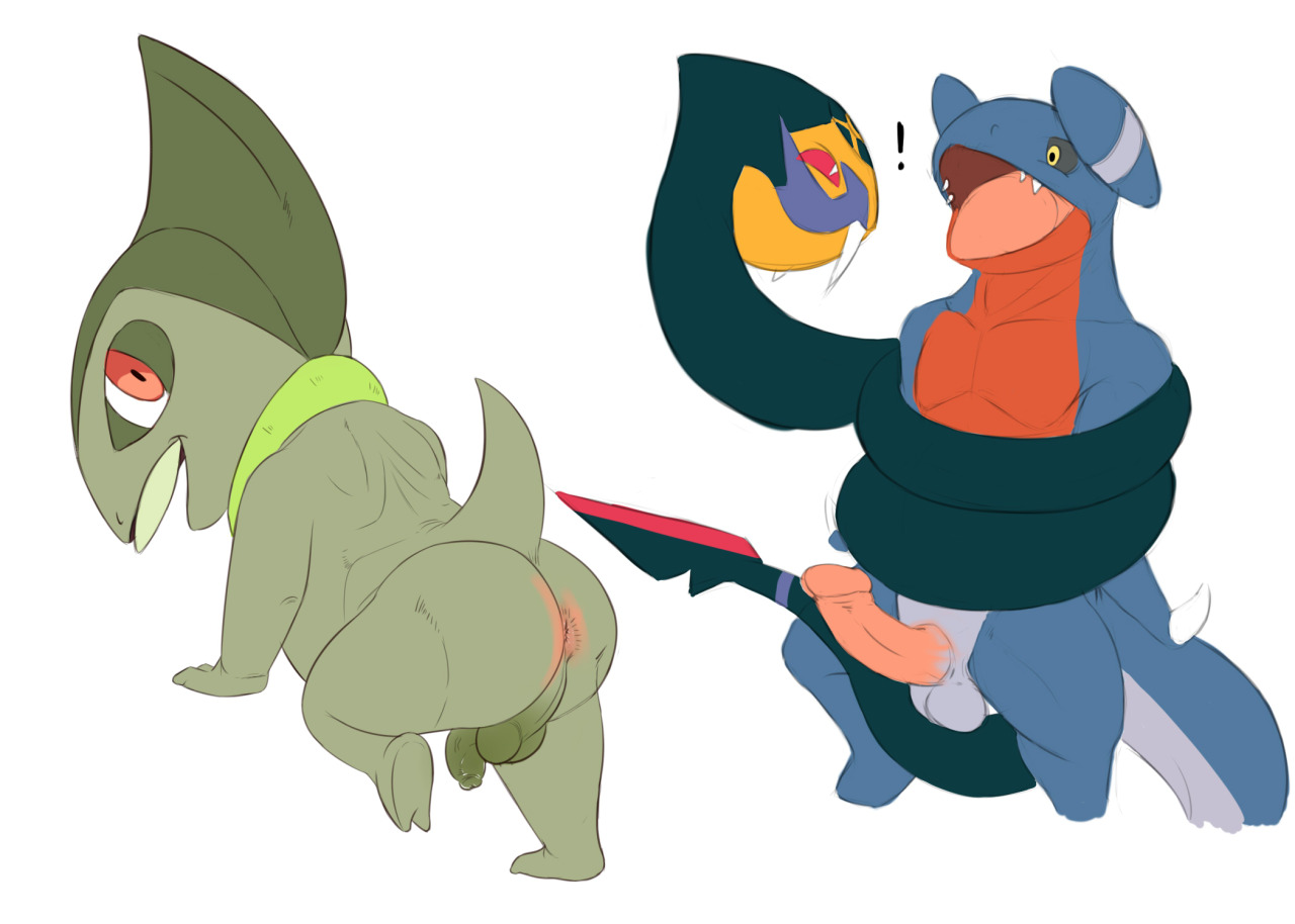 Rule34 – If it exists, there is porn of it / seyrmo, axew, garchomp, seviper / 143975