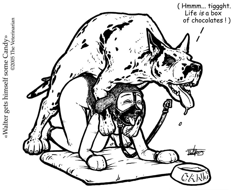 Rule34 – If it exists, there is porn of it / the veterinarian / 143984