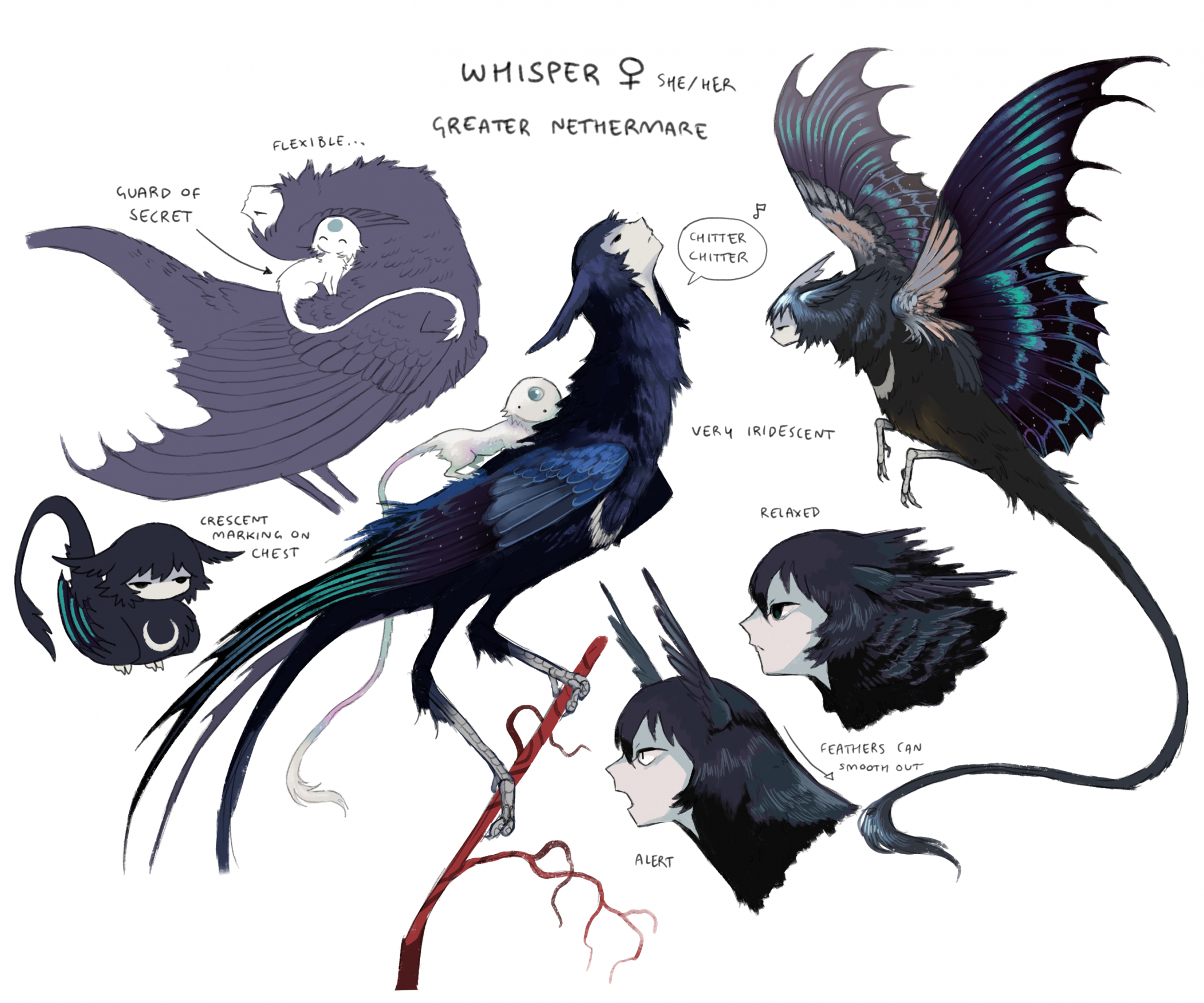 jejejunum, secret (jejejunum), original, highres, bird, blue feathers, blue hair, blue wings, body fur, closed eyes, closed mouth, creature, expressionless, fantasy, feathers, green wings, harpy, looking up, monster girl, multicolored feathers, on branch, reference sheet, venus symbol, whisper (jejejunum), white fur, white tail, wings
