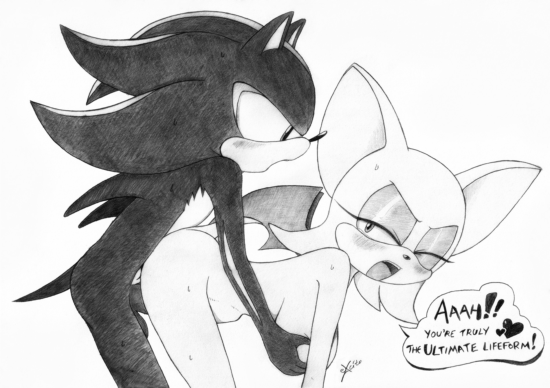 Rule34 – If it exists, there is porn of it / excito, rouge the bat, shadow the hedgehog / 144058