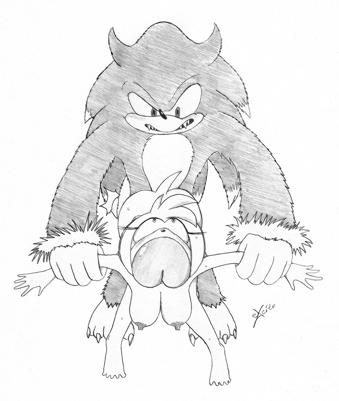Rule34 – If it exists, there is porn of it / excito, amy rose, sonic the werehog / 144084