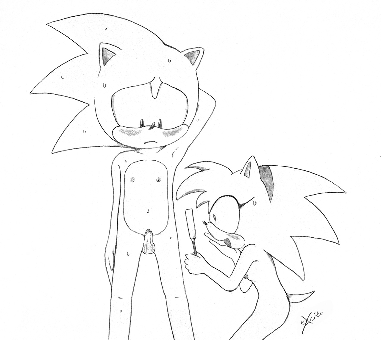 Rule34 – If it exists, there is porn of it / excito, amy rose, rosy the rascal, sonic the hedgehog / 144089
