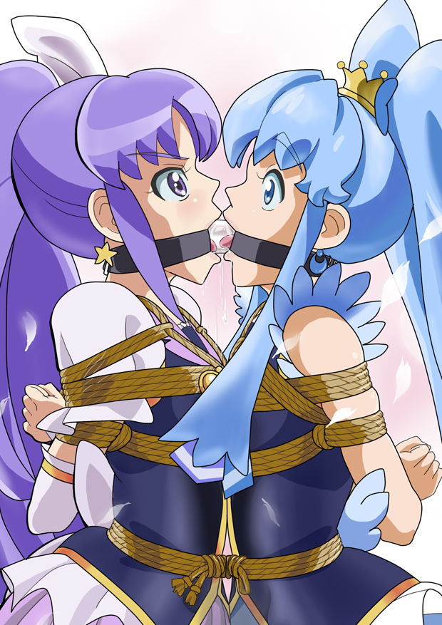 Rule34 – If it exists, there is porn of it / cure fortune, cure princess, hikawa iona, shirayuki hime / 144193