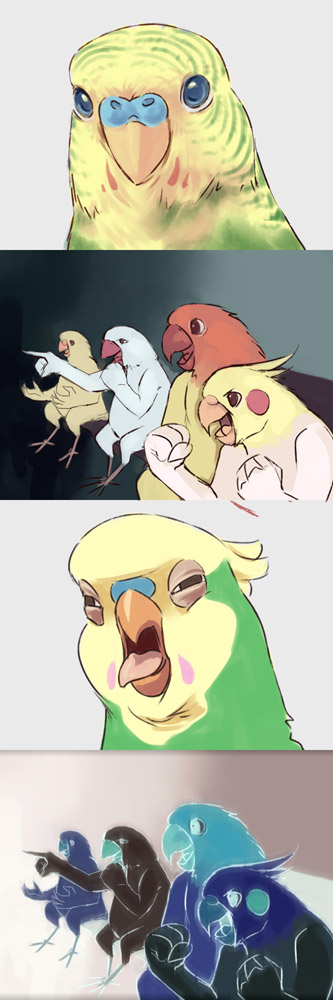 era (traveling bird), fishball, inko (toradora), original, toradora!, bad id, bad pixiv id, long image, tall image, 4koma, animal focus, bird, budgerigar (bird), cockatiel, comic, gaijin 4koma (meme), meme, no humans, parakeet, parody, parrot, what