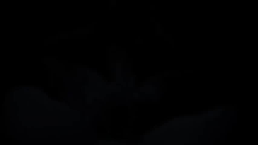 Rule34 – If it exists, there is porn of it / studiofow / 8661098