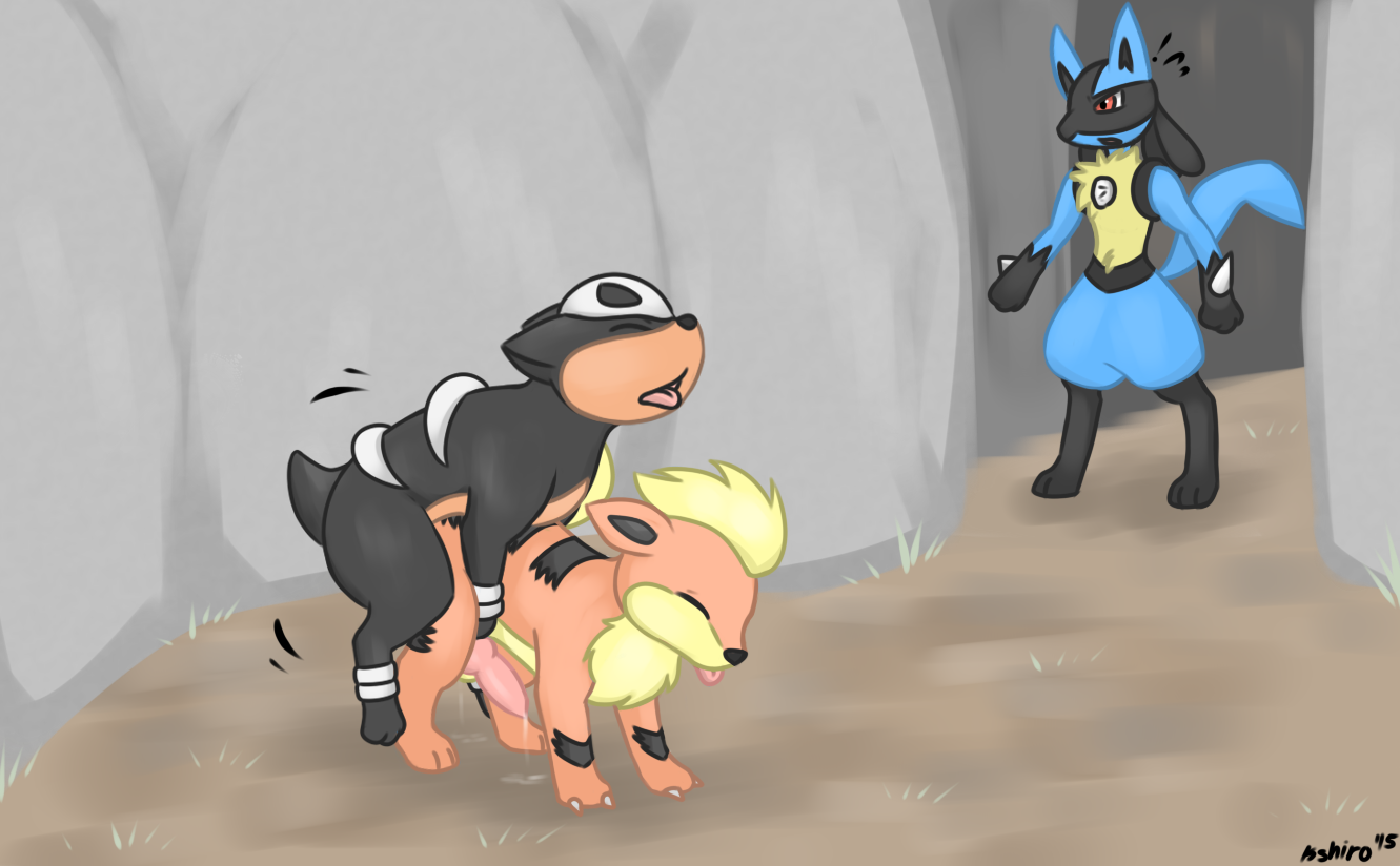 Rule34 – If it exists, there is porn of it / kyoushiro, growlithe, houndour, lucario / 144539