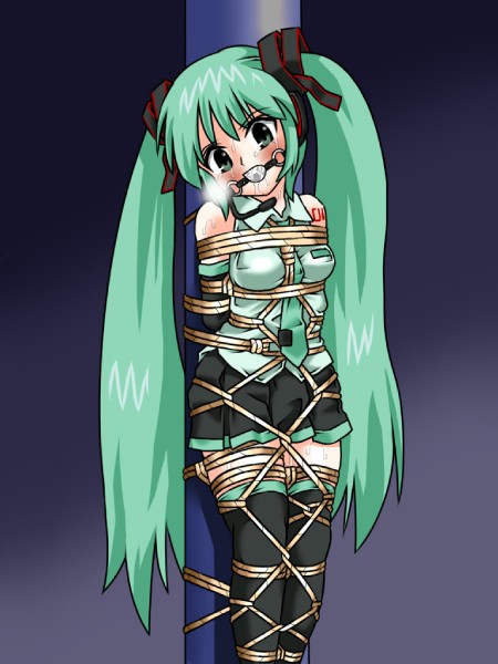 lilish, hatsune miku, vocaloid, 1girl, arms behind back, ball gag, bdsm, blush, bondage, bound, breasts, female focus, gag, gagged, green eyes, green hair, long hair, matching hair/eyes, miniskirt, rope, shibari, shibari over clothes, skirt, small breasts, solo, tears, thighhighs, twintails, very long hair