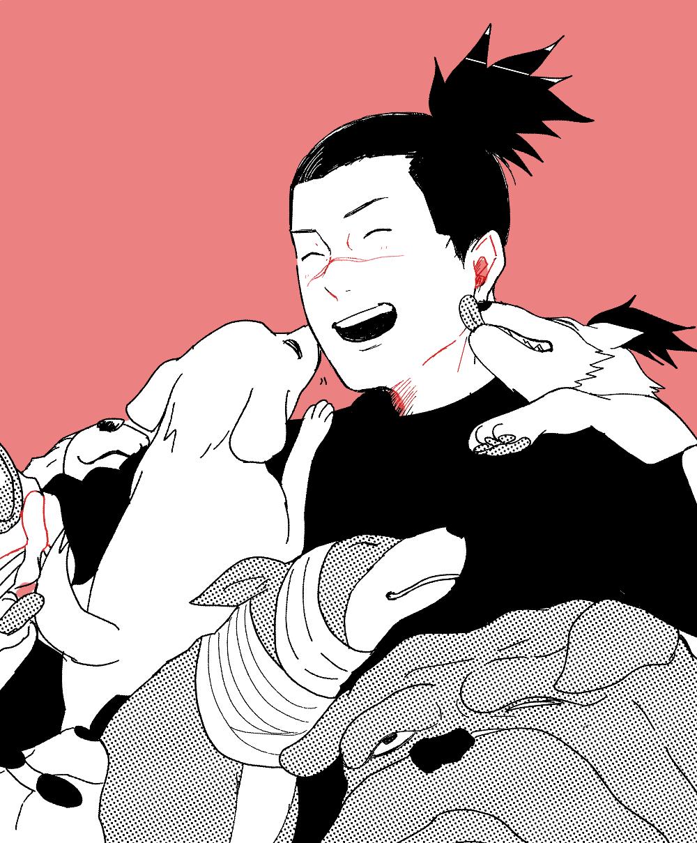 nmyuo, umino iruka, naruto (series), highres, 1boy, bandaged head, bandages, black hair, black shirt, bulldog, closed eyes, dog, laughing, licking, licking another's face, male focus, medium hair, multiple dogs, open mouth, pink background, ponytail, scar, scar on face, scar on nose, shirt, short ponytail, smile, too many, too many dogs, upper body