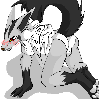 Rule34 – If it exists, there is porn of it / camiod, mightyena / 145429