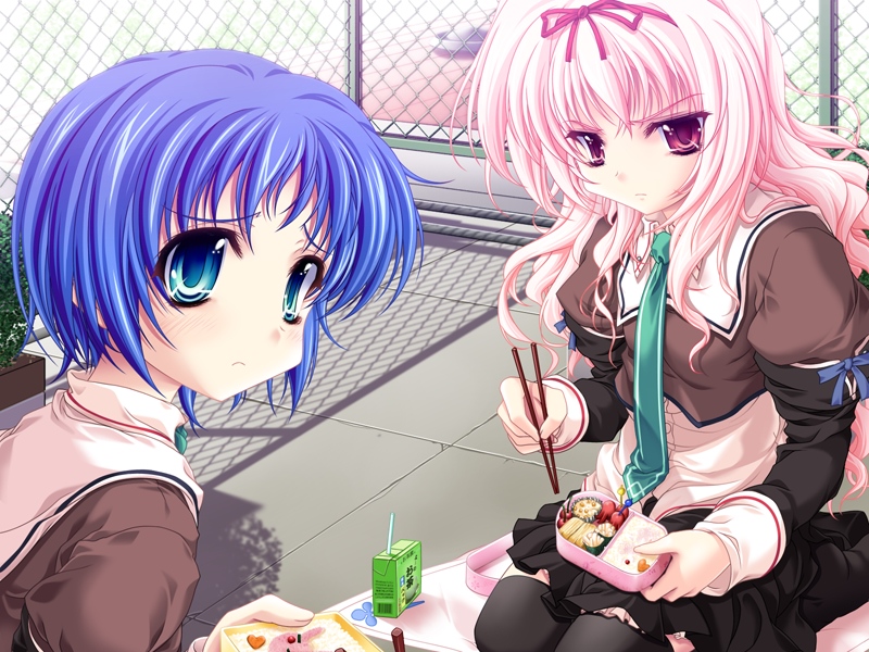miyama-zero, akina suzutsuki, yuki seseri, kanojo tachi no ryuugi, game cg, non-web source, 2girls, aqua eyes, bento, black thighhighs, blue hair, chain-link fence, chopsticks, fence, food, food art, frown, green eyes, hair ribbon, hairband, juice box, kneeling, long hair, looking back, multiple girls, necktie, outdoors, pink eyes, pink hair, red eyes, ribbon, school uniform, short hair, skirt, tako-san wiener, thighhighs