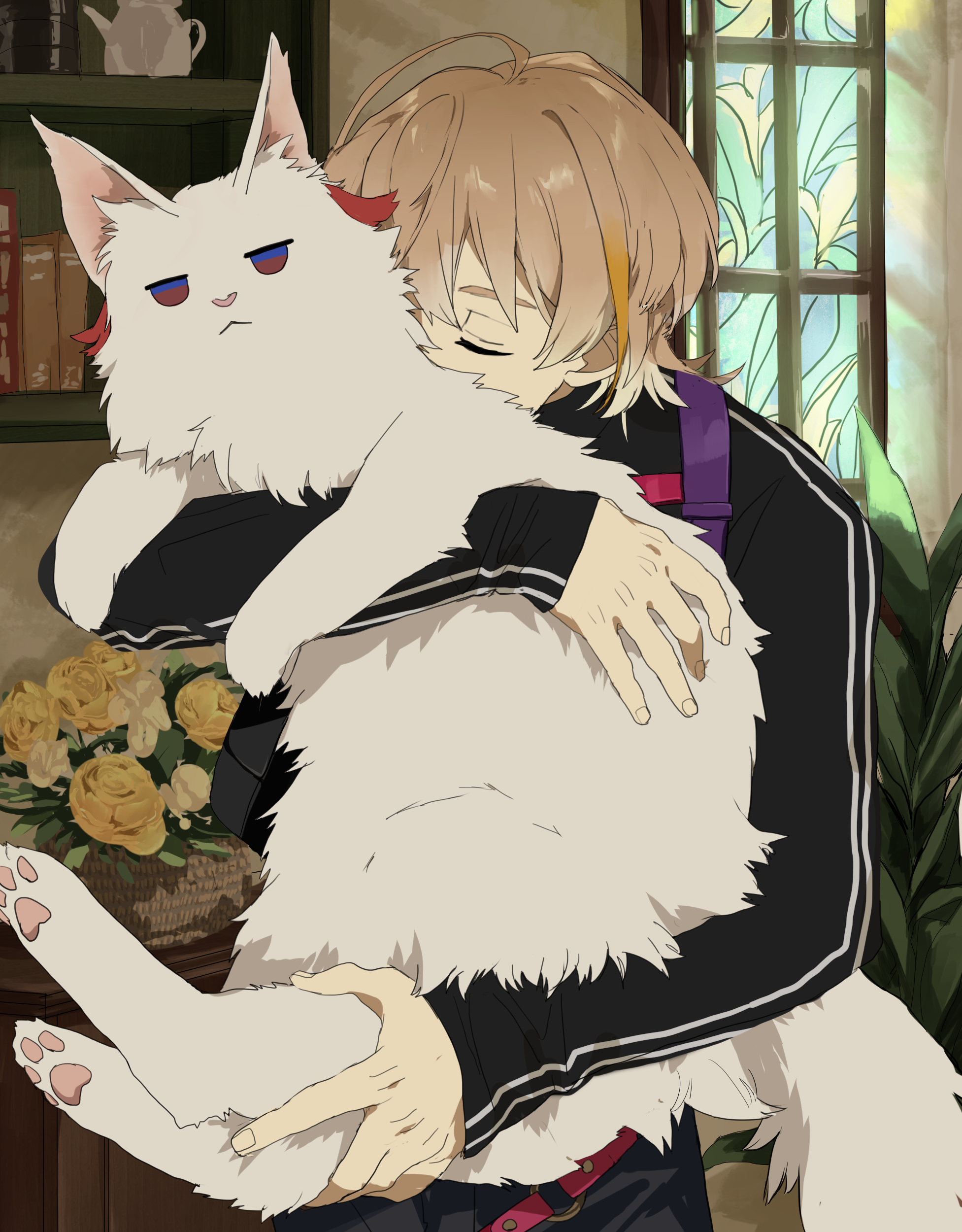 matsuhago, fura kanato, seraph dazzlegarden, nijisanji, absurdres, highres, 1boy, animal, animalization, basket, black jacket, brown hair, cat, flower, holding, holding animal, indoors, jacket, male focus, oversized animal, rose, shelf, short hair, track jacket, virtual youtuber, white cat, window, yellow flower, yellow rose