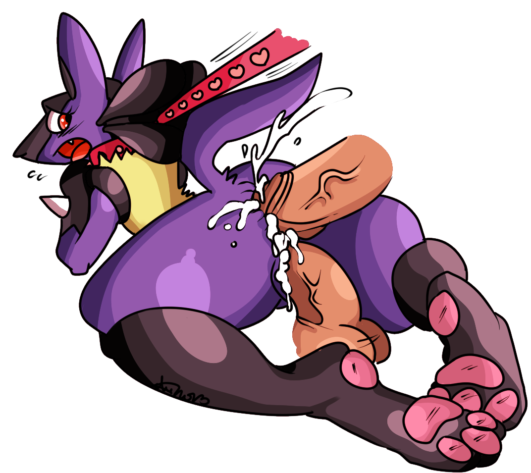 Rule34 – If it exists, there is porn of it / nelsonnoir, lucario / 146041