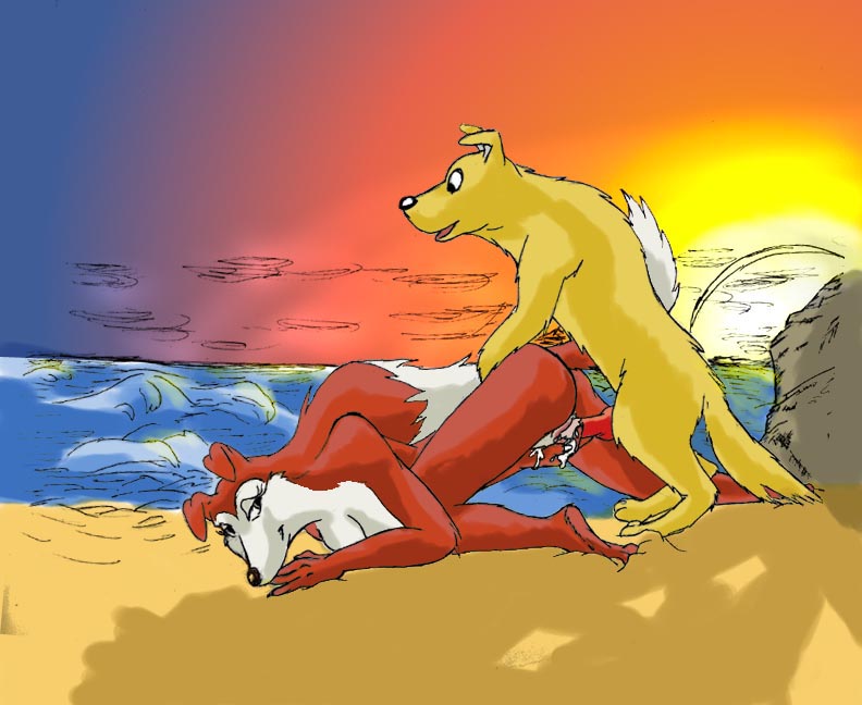 Rule34 – If it exists, there is porn of it / colleen, hunter (road rovers) / 146428