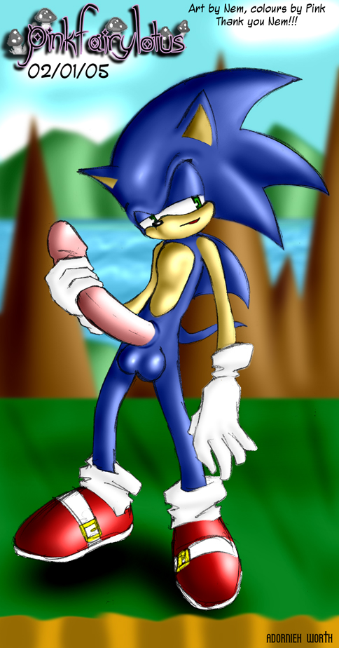 Rule34 – If it exists, there is porn of it / nem, pink fairy lotus, sonic the hedgehog / 147146