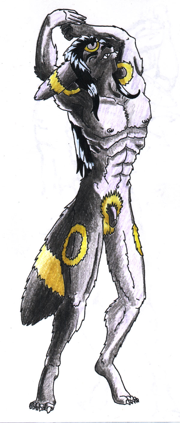 Rule34 – If it exists, there is porn of it / umbreon / 147150