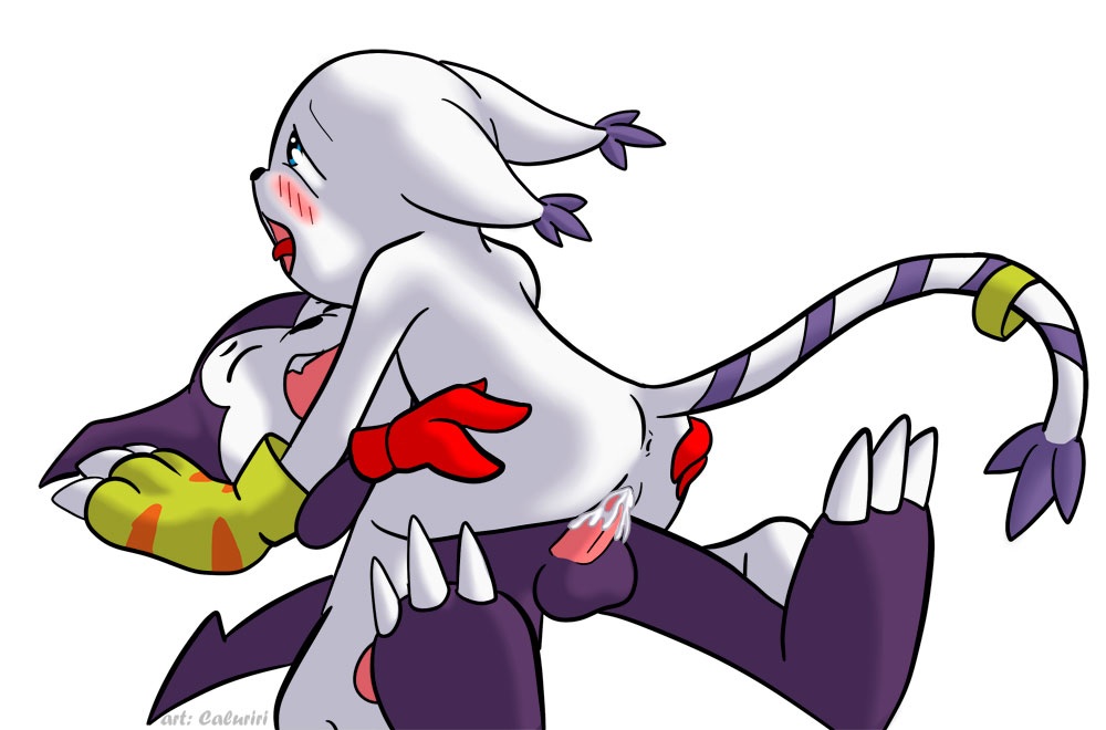 Rule34 – If it exists, there is porn of it / caluriri, gatomon, impmon / 147363