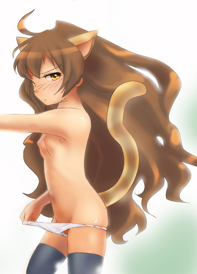 bt (shio oninko), buri, aisaka taiga, toradora!, bad id, bad pixiv id, 00s, 1girl, ahoge, animal ears, blush, brown hair, cat ears, cat tail, female focus, flat chest, long hair, nipples, panties, panty pull, pussy, solo, tail, thighhighs, underwear, yellow eyes