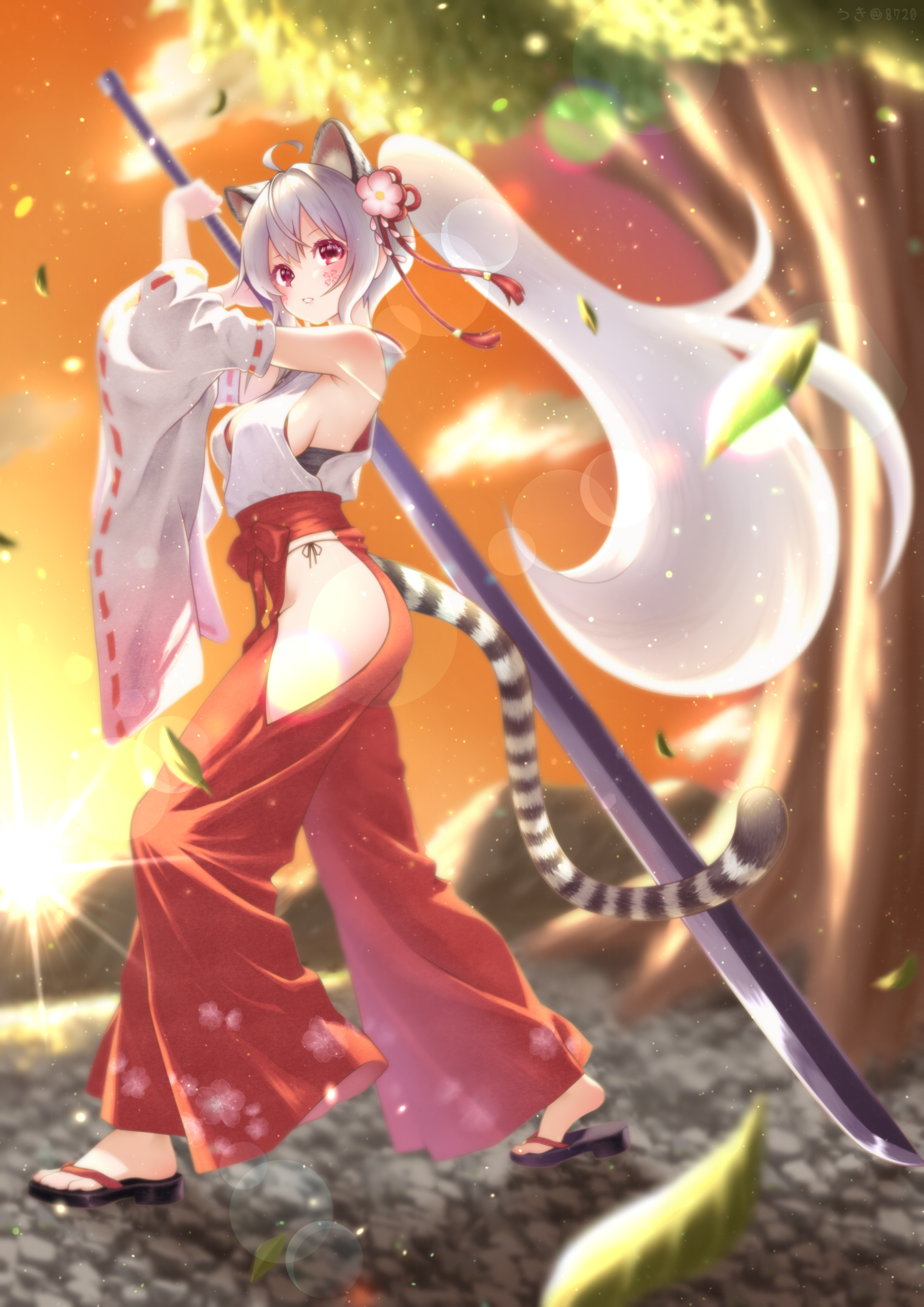 yuri (brown dust), brown dust (series), brown dust 2, absurdres, highres, 1girl, animal ears, armpits, blurry, blurry background, breasts, clothing cutout, falling leaves, flower, from side, full body, grey hair, hair flower, hair ornament, hakama, hip vent, holding, holding sword, holding weapon, huge weapon, japanese clothes, kimono, leaf, long hair, looking at viewer, mountainous horizon, nontraditional miko, okobo, open mouth, platform sandals, ponytail, red eyes, red hakama, sandals, sideboob, small breasts, solo, sunset, sword, tail, tiger ears, tiger girl, tiger tail, tree, user csde5847, very long hair, weapon, white kimono