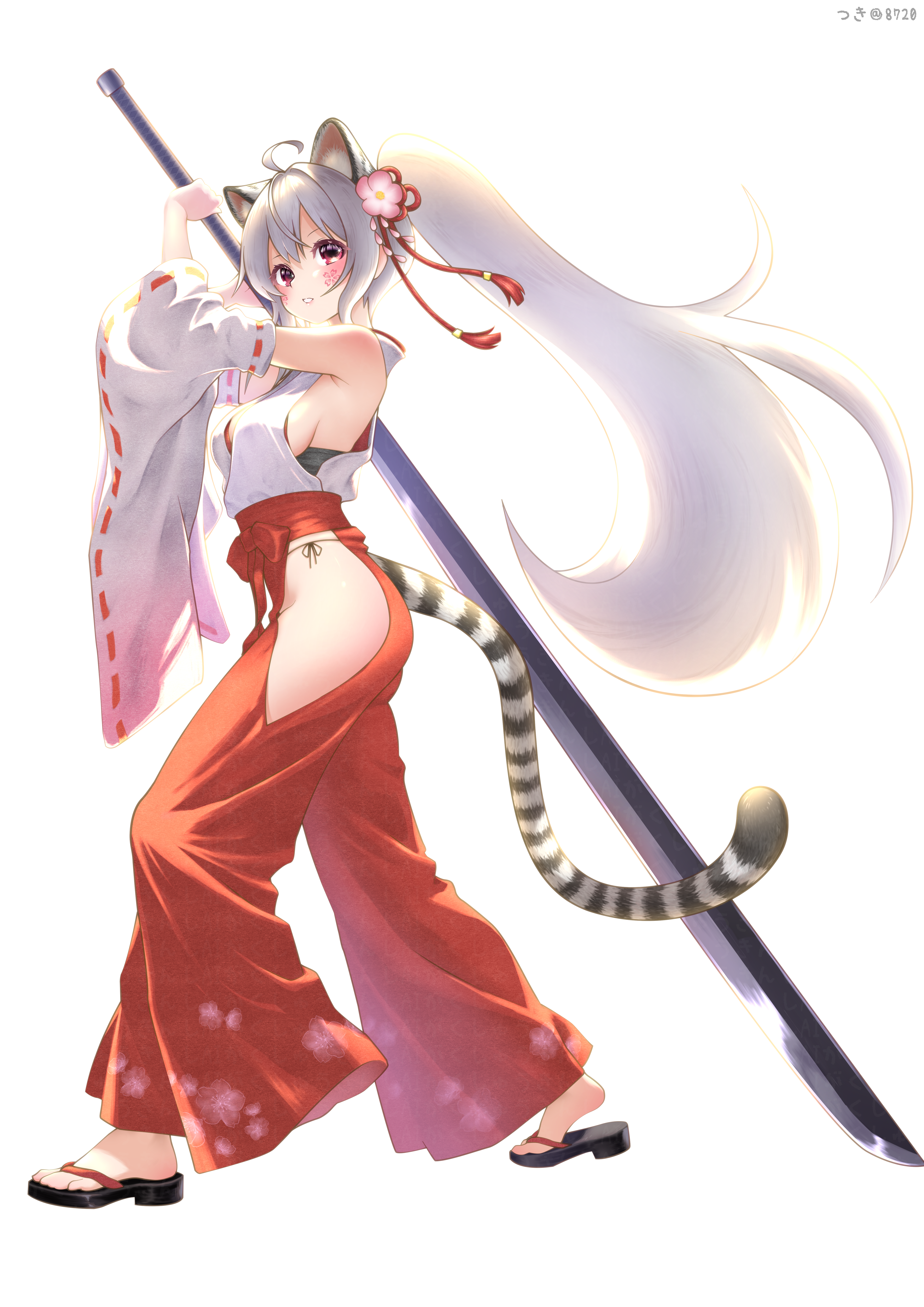 yuri (brown dust), brown dust (series), brown dust 2, absurdres, highres, 1girl, animal ears, armpits, breasts, clothing cutout, flower, from side, full body, grey hair, hair flower, hair ornament, hakama, hip vent, holding, holding sword, holding weapon, huge weapon, japanese clothes, kimono, long hair, looking at viewer, nontraditional miko, okobo, open mouth, platform sandals, ponytail, red eyes, red hakama, sandals, sideboob, simple background, small breasts, solo, sword, tail, tiger ears, tiger girl, tiger tail, user csde5847, very long hair, weapon, white background, white kimono
