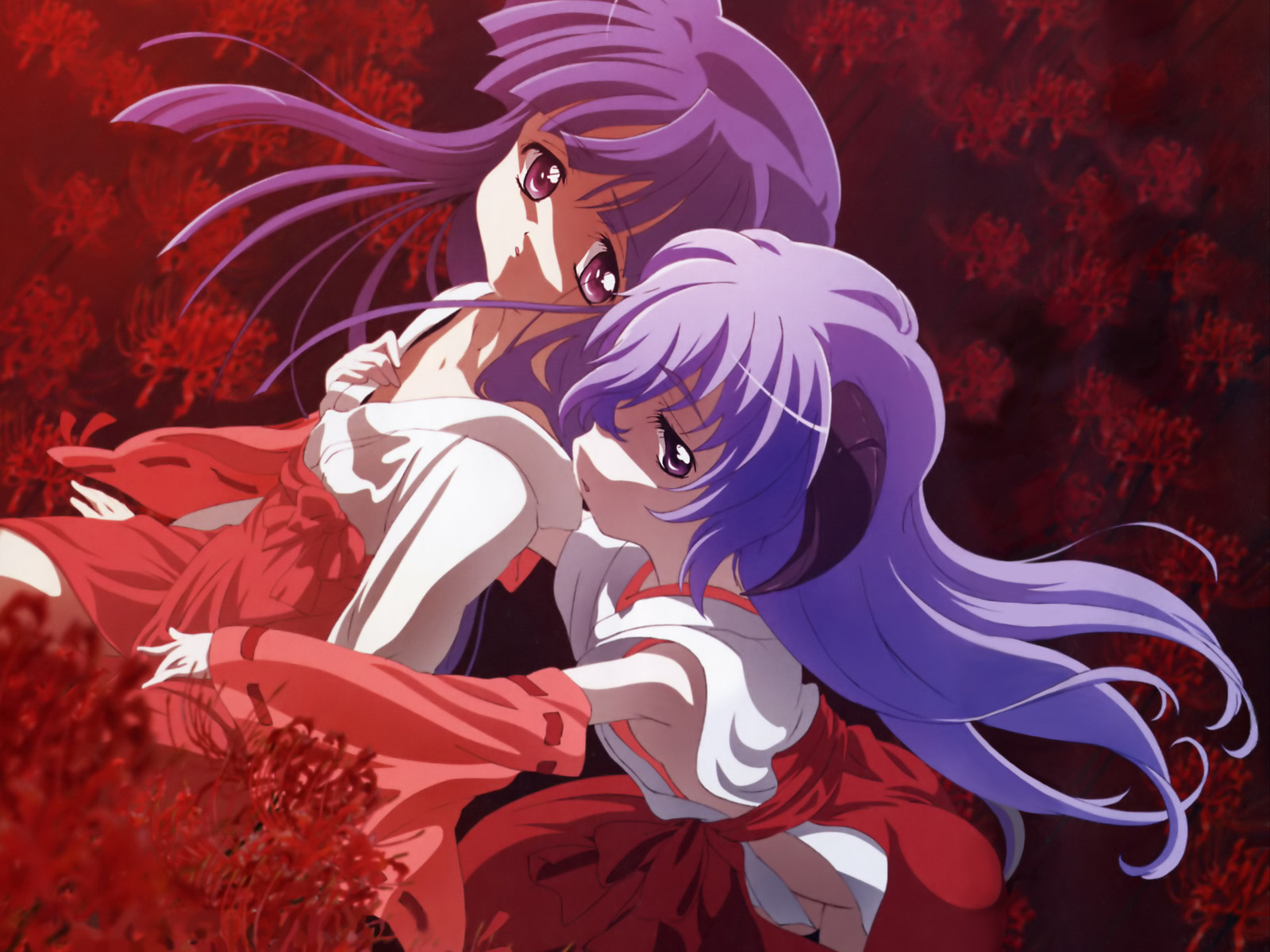 sakai kyuuta, furude rika, hanyuu, higurashi no naku koro ni, highres, non-web source, official art, official wallpaper, 00s, 2girls, blue eyes, blue hair, blurry, couple, depth of field, detached sleeves, flower, hakama, hakama skirt, horns, japanese clothes, long hair, miko, multiple girls, purple eyes, purple hair, red flower, red hakama, skirt, spider lily, sunset, undressing, yuri