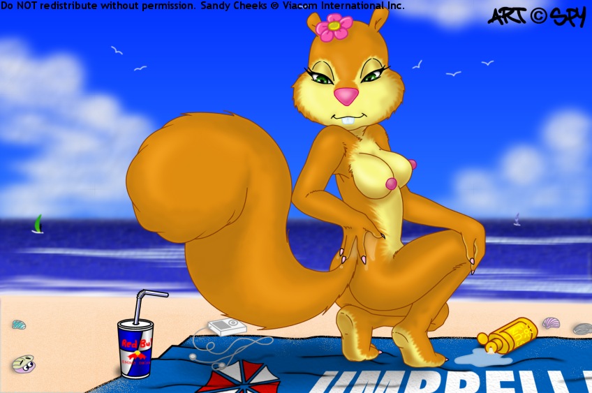 Rule34 – If it exists, there is porn of it / spy (artist), sandy cheeks / 148378