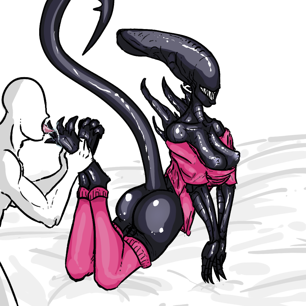 Rule34 – If it exists, there is porn of it / kahl (artist), xenomorph / 148588