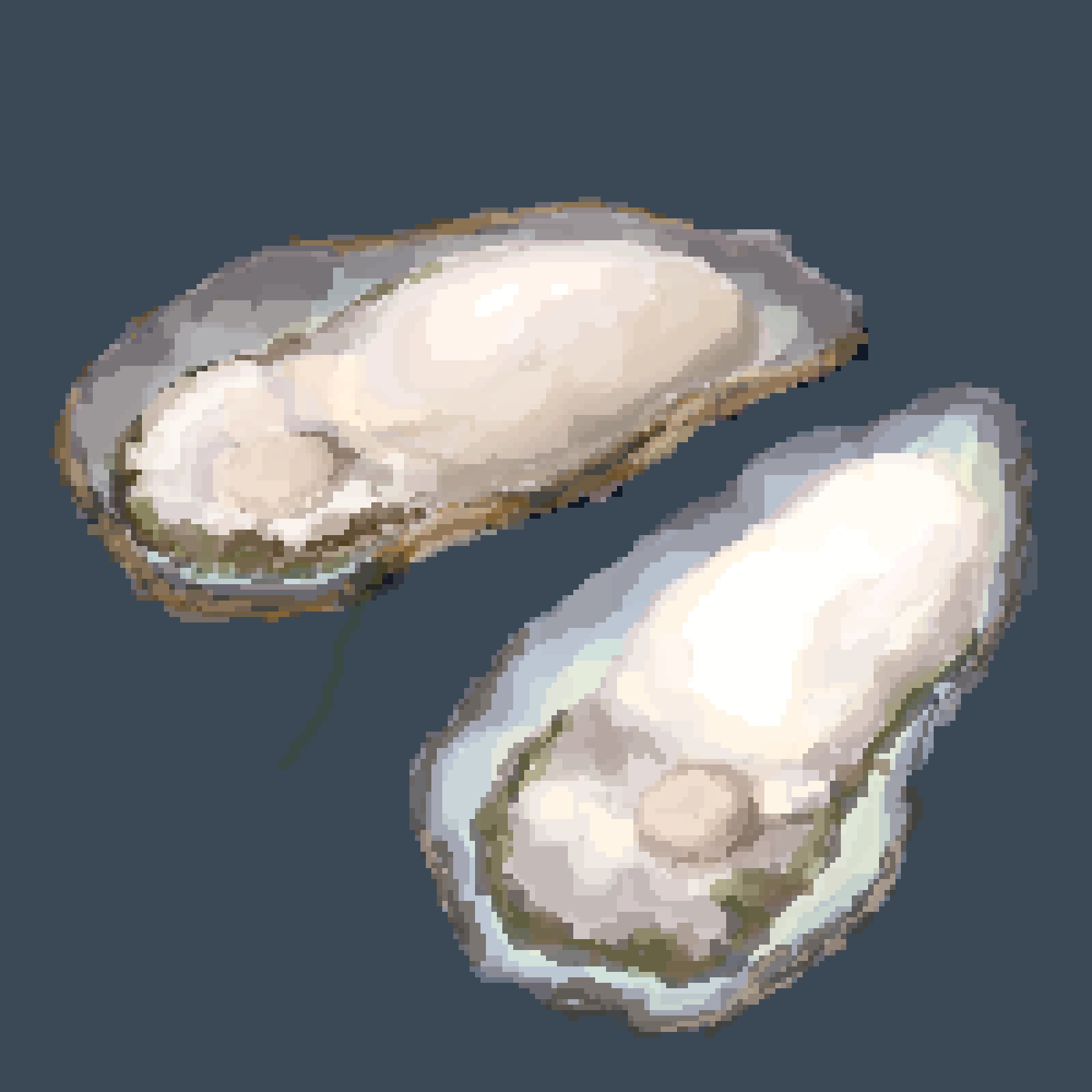 hisachan55cute, original, highres, food focus, from above, no humans, oyster, painterly, pixel art, seafood