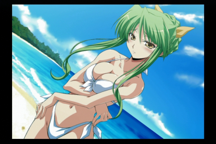 izumi mahiru, sakurai chisato, wrestle angels, wrestle angels survivor, game cg, 1girl, beach, bikini, border, day, dutch angle, female focus, green hair, hair ribbon, long hair, outdoors, ribbon, solo, swimsuit, white bikini, yellow eyes