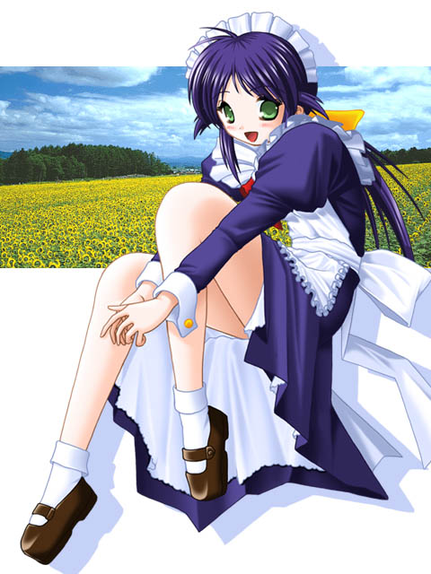 keito (keito-ya), andou mahoro, mahoromatic, archived source, commentary request, 1girl, 2000s (style), android, ankle socks, antenna hair, apron, ascot, blue dress, blue hair, blue sky, blue sleeves, blush, bobby socks, bow, breasts, brown shoes, buttoned cuffs, buttons, cloud, dated commentary, day, dress, drop shadow, field, flower, flower field, frilled apron, frills, full body, green eyes, hair bow, hair tuft, headdress, invisible chair, juliet sleeves, lace-trimmed petticoat, legs, loafers, long hair, long sleeves, looking at viewer, low-tied long hair, low ponytail, maid, maid apron, maid headdress, medium breasts, open mouth, petticoat, photo background, polka dot, ponytail, puffy sleeves, red ascot, retro artstyle, ribbon, saturated, shoes, sidelocks, sitting, sky, sleeve cuffs, socks, solo, sunflower, sunflower field, tongue, tree, waist ribbon, white apron, white background, white headdress, white ribbon, yellow bow