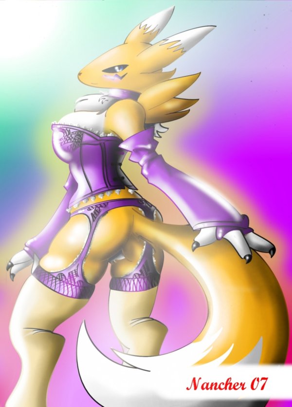 renamon, digimon, belt, blush, corset, digimon (creature), furry, gloves, lingerie, tail, thighhighs, underwear