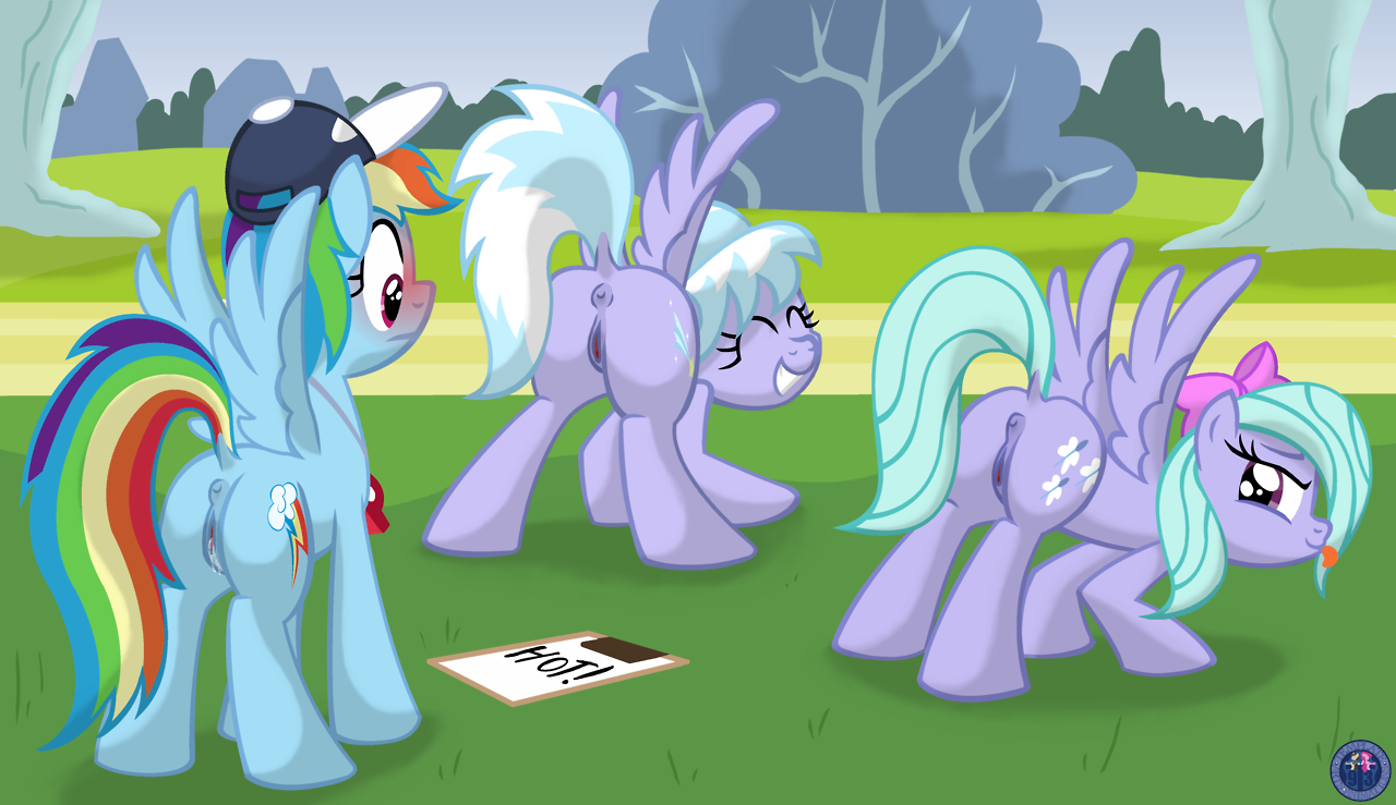 Rule34 – If it exists, there is porn of it / template93, cloud chaser (mlp), flitter (mlp), rainbow dash (mlp) / 149684