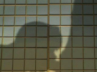 kirihara reika, yuuwaku, screencap, animated, animated gif, anime screenshot, lowres, 00s, 1boy, 1girl, fellatio, hetero, implied fellatio, oral, penis shadow, purple hair, qvga, shadow, silhouette