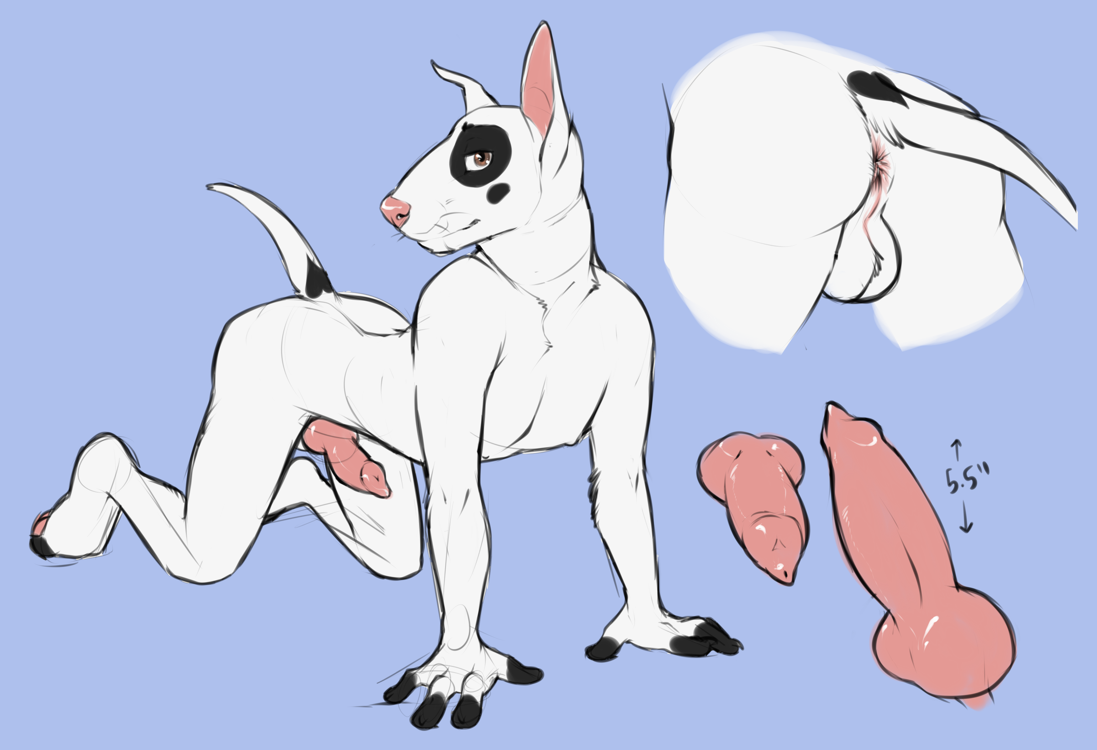 Rule34 – If it exists, there is porn of it / incorgnito / 149922