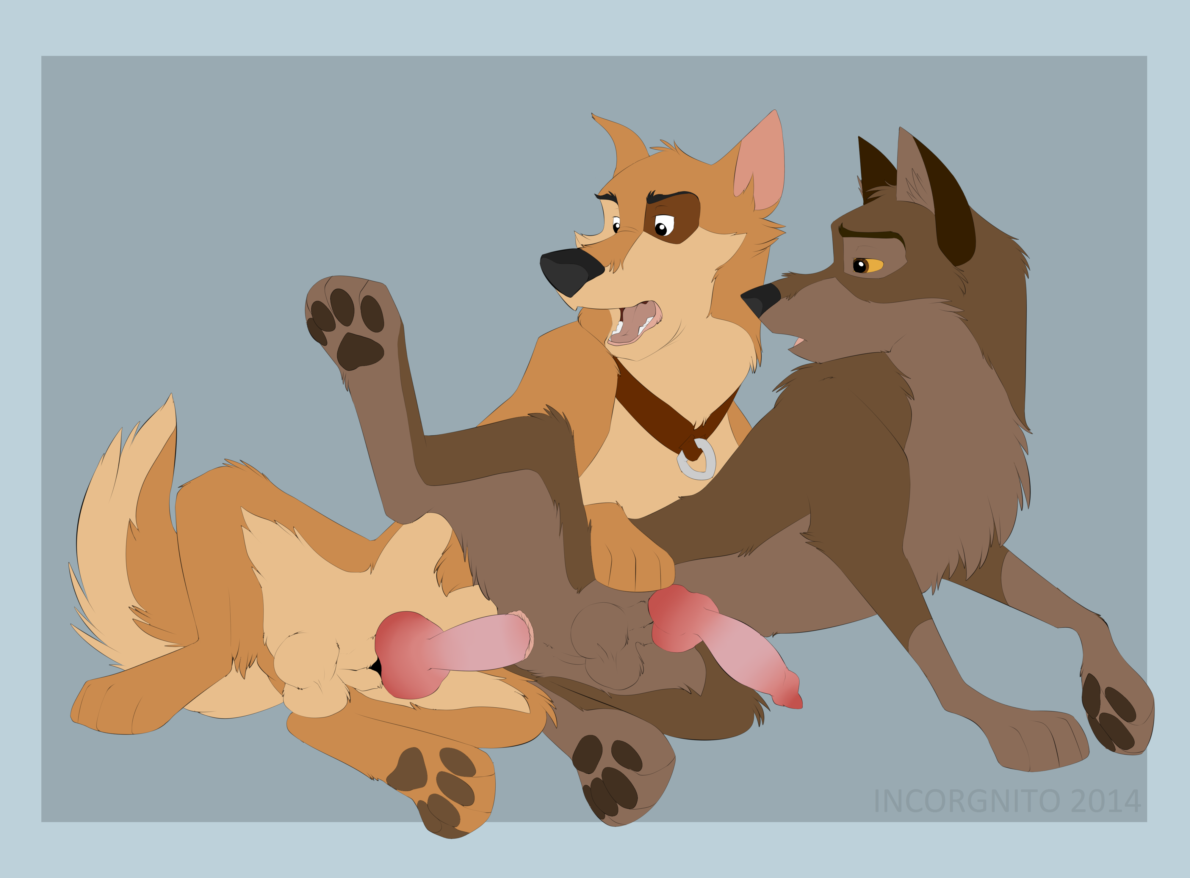 Rule34 – If it exists, there is porn of it / incorgnito, balto, kaltag / 149944