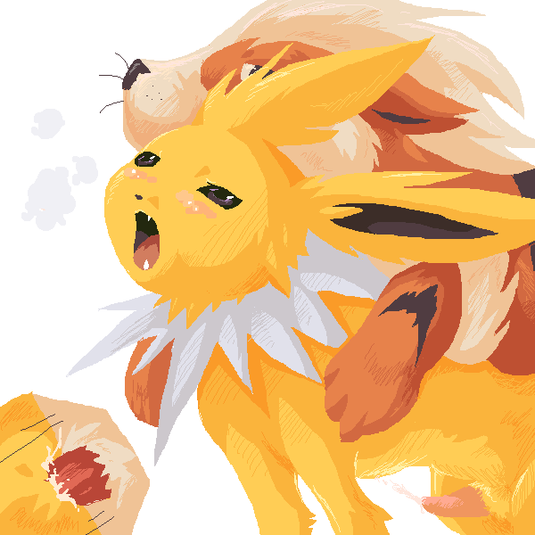 Rule34 – If it exists, there is porn of it / arcanine, jolteon / 149988