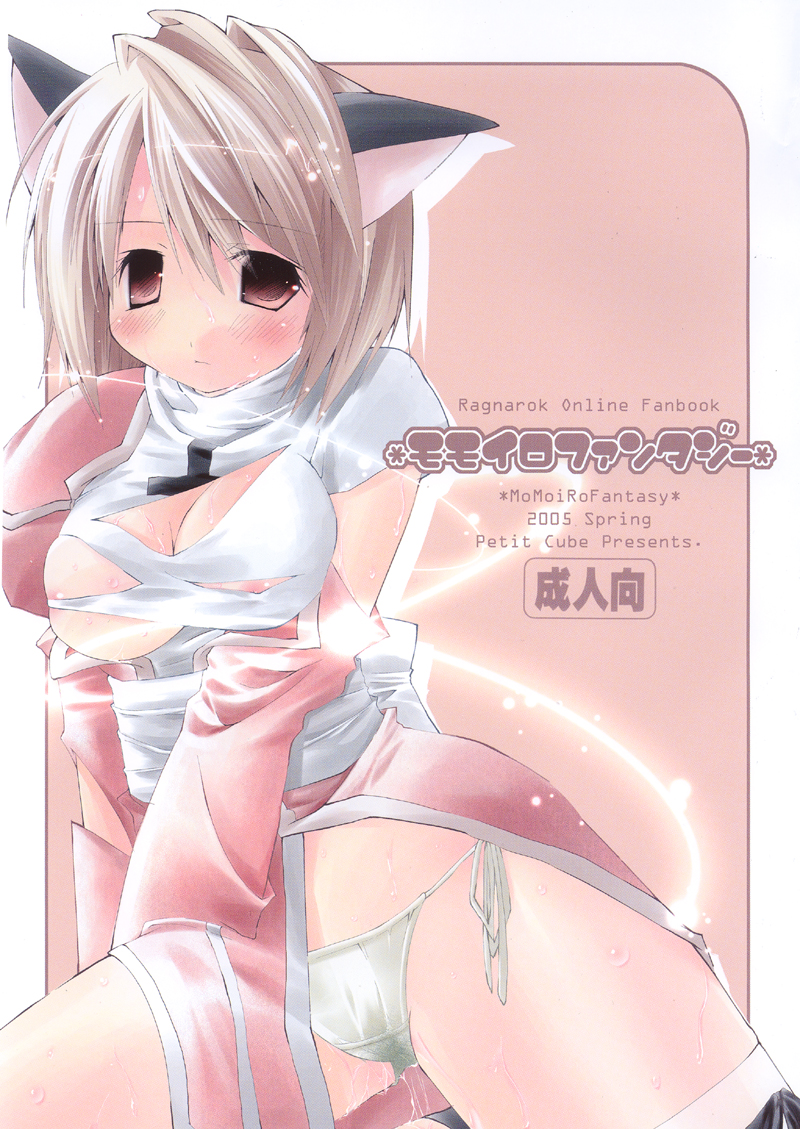 high priest (ragnarok online), ragnarok online, animal ears, cat ears, panties, priestess, solo, thighhighs, torn clothes, underwear