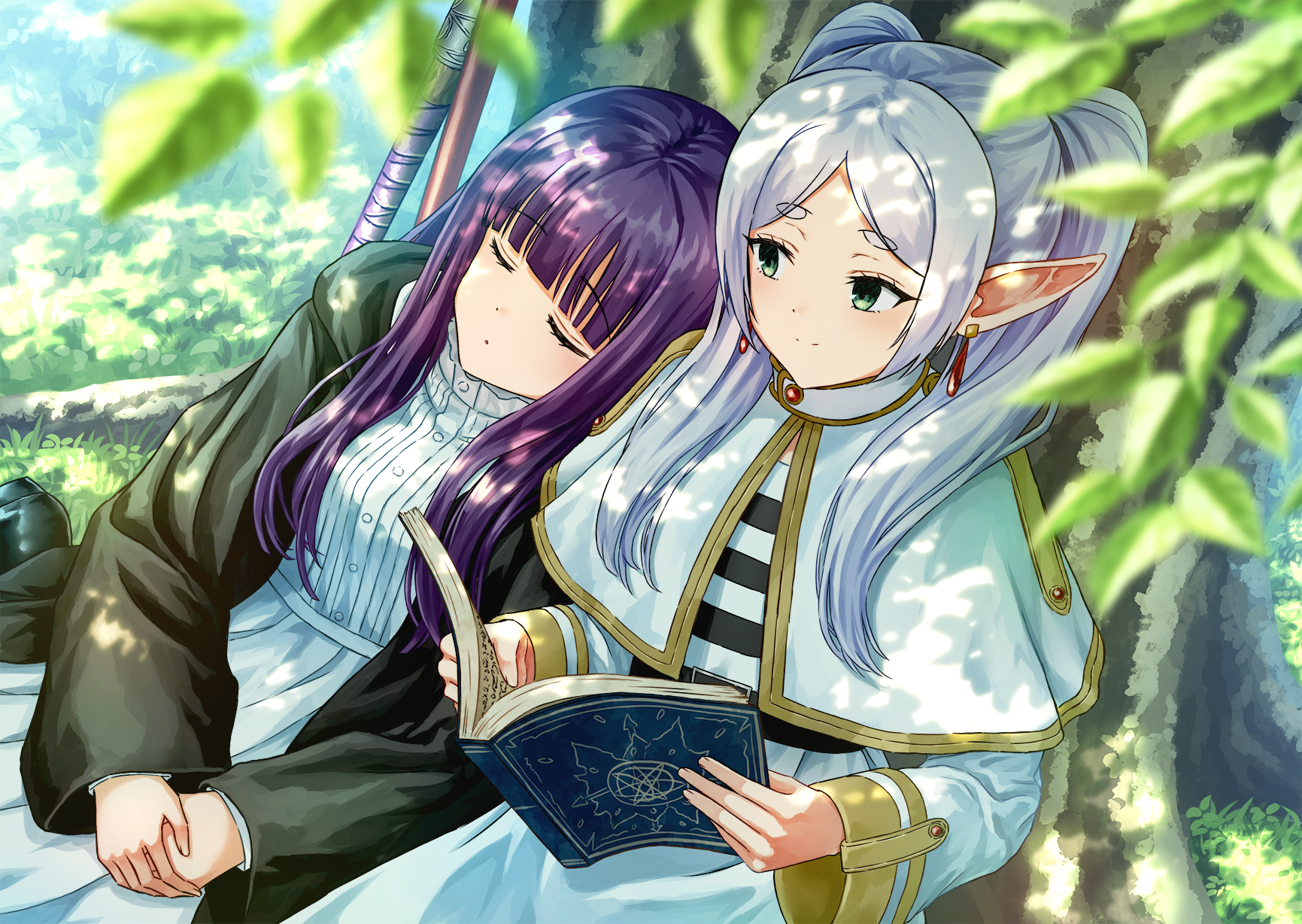 morebi, fern (sousou no frieren), frieren, sousou no frieren, commentary request, highres, 2girls, blunt bangs, blurry, blurry foreground, book, capelet, coat, dappled sunlight, dress, earrings, grass, green eyes, head on another's shoulder, holding, holding book, jewelry, long pointy ears, long sleeves, looking at another, looking to the side, multiple girls, on ground, outdoors, pointy ears, purple hair, reading, sitting, sleeping, smile, sunlight, thick eyebrows, twintails, white hair