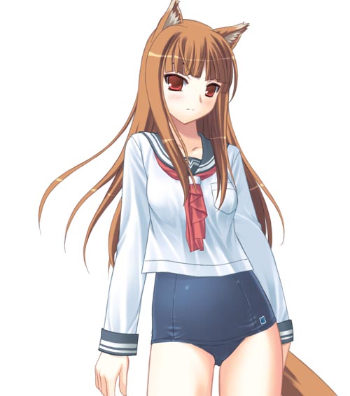 sai gakai, holo, spice and wolf, 00s, animal ears, brown hair, long hair, no pants, one-piece swimsuit, red eyes, school swimsuit, school uniform, serafuku, solo, swimsuit, swimsuit under clothes, tail, wolf ears, wolf tail