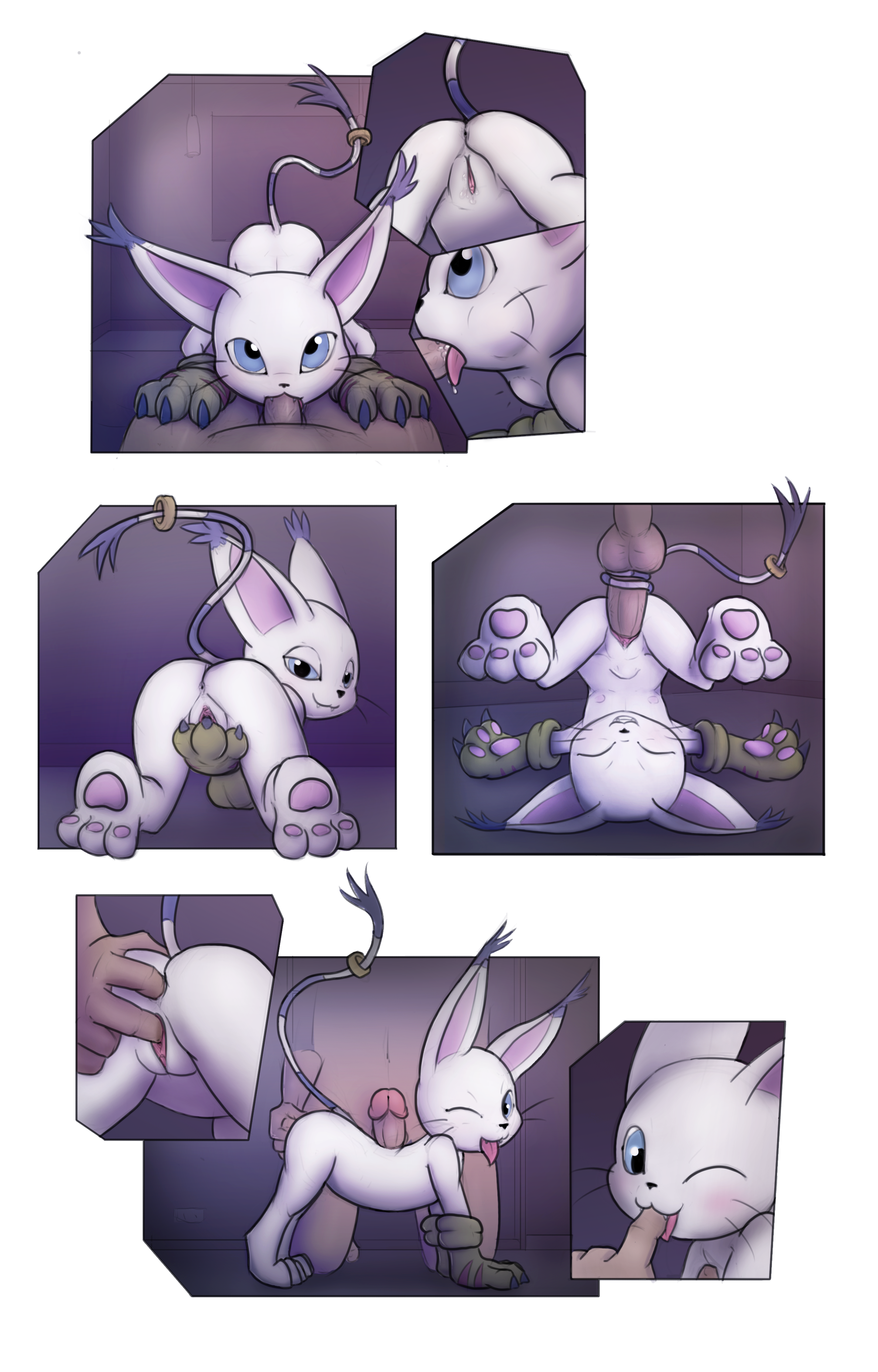 Rule34 – If it exists, there is porn of it / kekitopu, gatomon / 150935