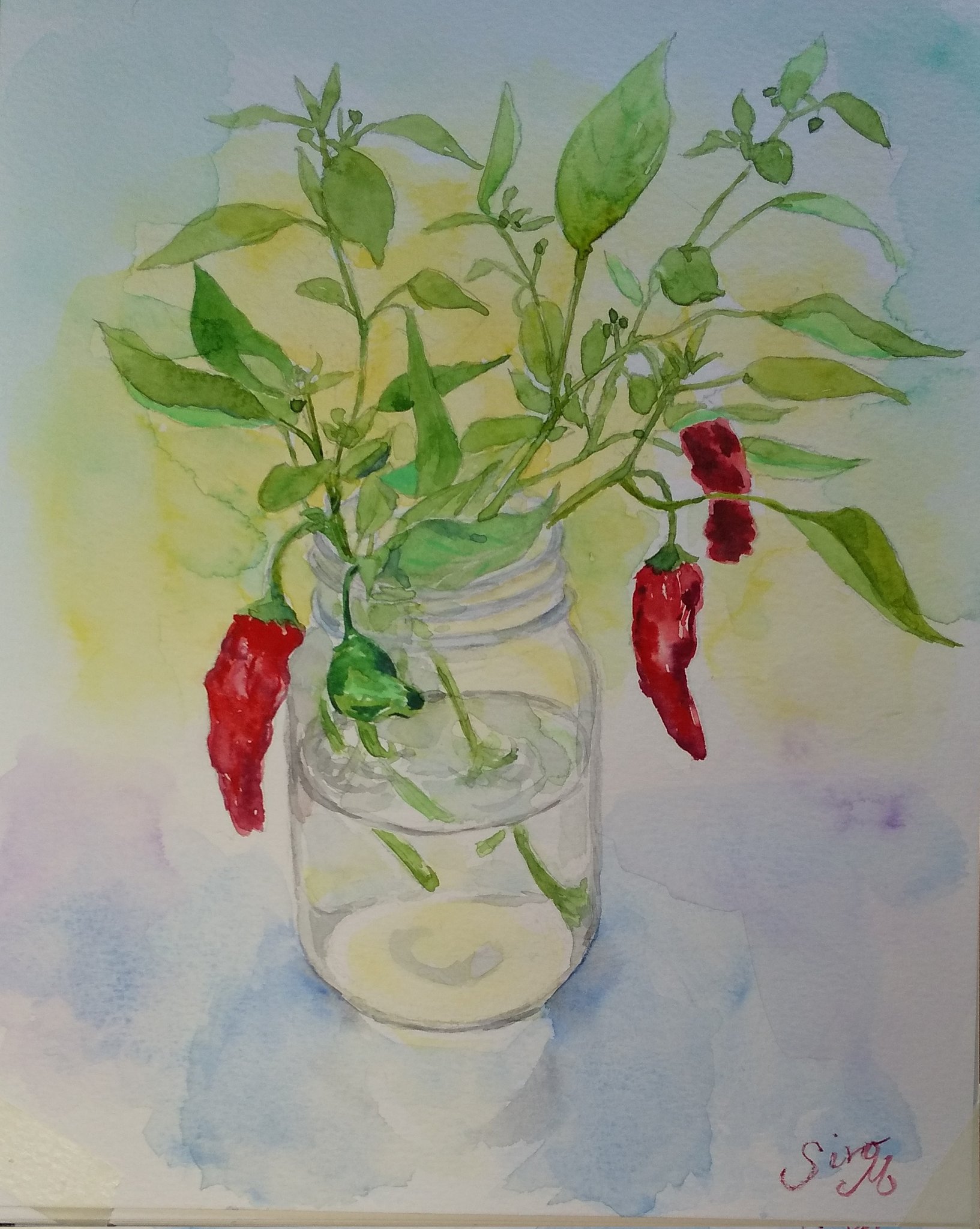 monsisiro411823, original, highres, painting (medium), traditional media, watercolor (medium), chili pepper, gradient background, jar, leaf, no humans, object focus, plant, plant focus, potted plant, signature, water