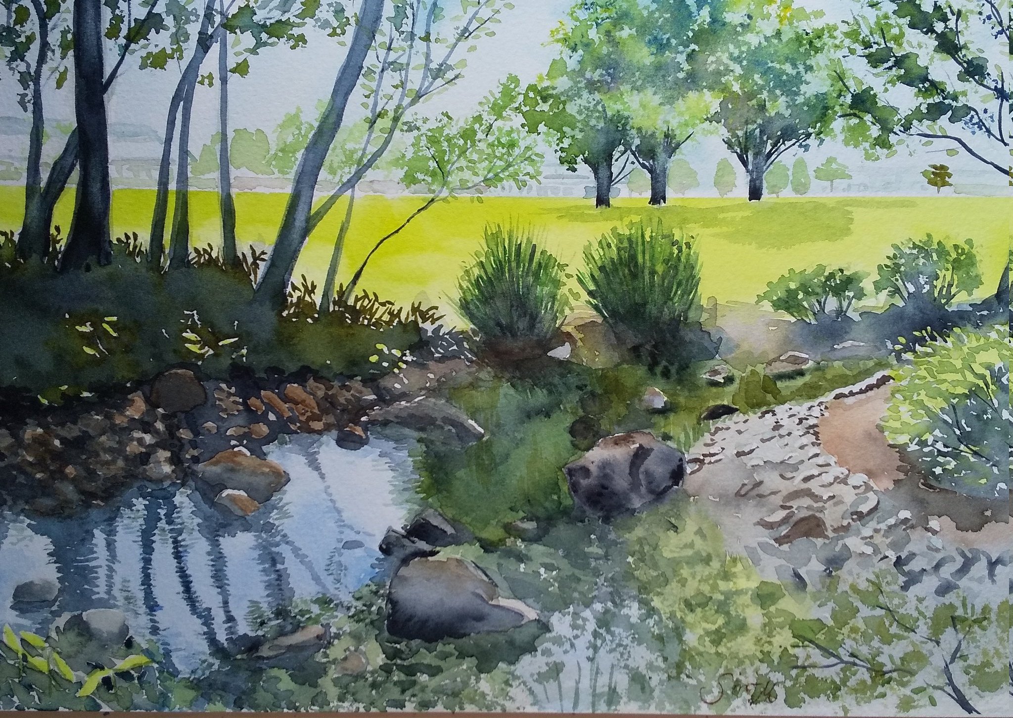 monsisiro411823, original, highres, painting (medium), traditional media, watercolor (medium), fern, field, grass, no humans, outdoors, park, puddle, rock, scenery, stream, tree, water