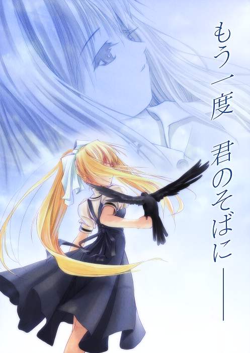 tom (1art.), kamio misuzu, sora (air), air (visual novel), 00s, 1girl, bird, blonde hair, crow, dress, female focus, from behind, long hair, ponytail, sidelocks, solo, very long hair, zoom layer