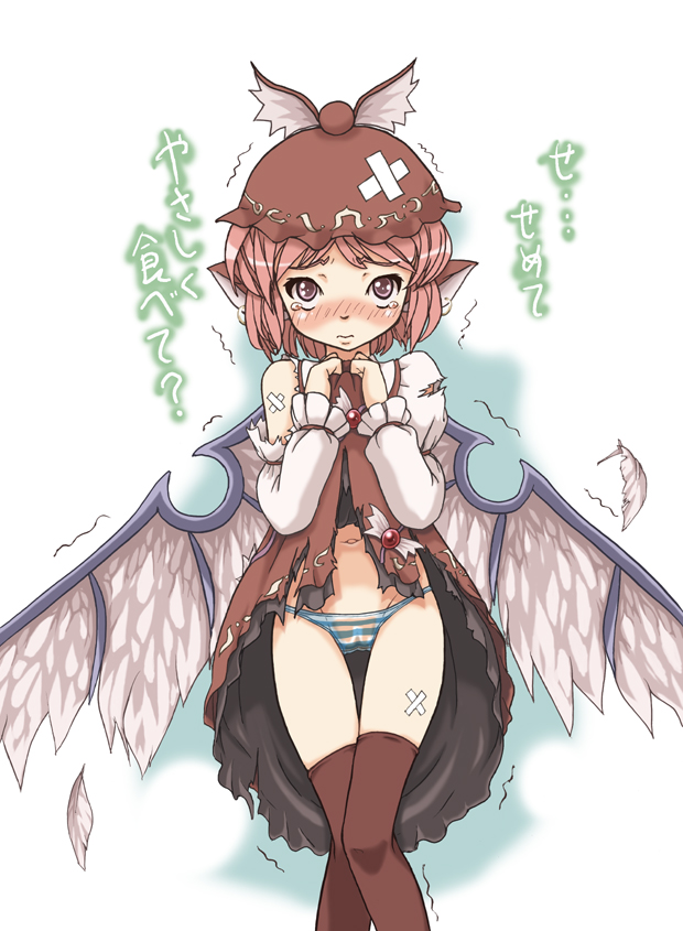 marujin, mystia lorelei, touhou, 1girl, animal ears, blush, bonnet, clothes lift, dress, dress lift, feathers, female focus, groin, hat, panties, pink hair, solo, striped clothes, striped panties, tears, thighhighs, torn clothes, underwear, wings
