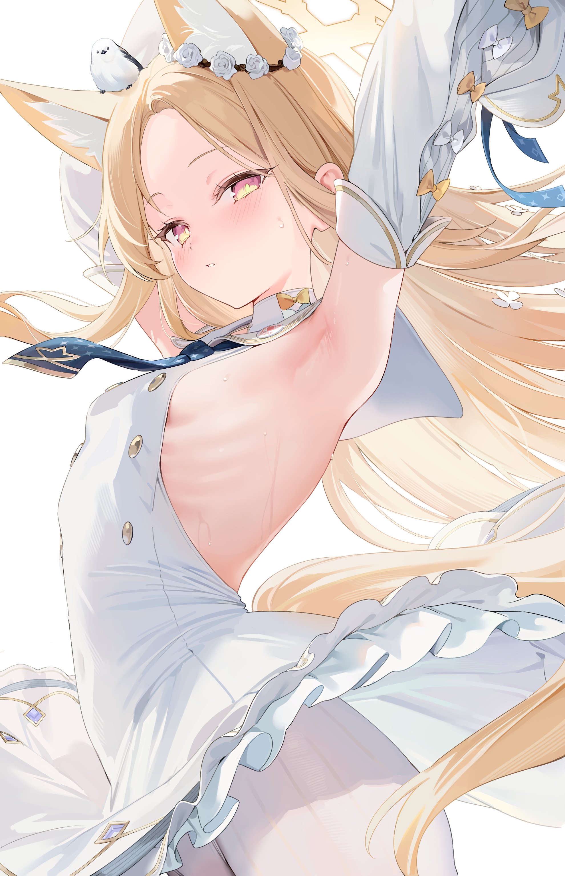 kawauchi (kaz7ry), seia (blue archive), blue archive, absurdres, commentary request, highres, 1girl, animal, animal ear fluff, animal ears, animal on head, armpits, bare arms, bare shoulders, bird, bird on head, black necktie, blonde hair, blush, bow, breasts, detached sleeves, dress, ear wreath, extra ears, fox ears, fox girl, fox tail, gradient eyes, halo, long hair, long sleeves, looking at viewer, multicolored eyes, necktie, on head, pantyhose, puffy long sleeves, puffy sleeves, simple background, sleeve bow, sleeveless, sleeveless dress, small breasts, sweat, tail, white background, white bow, white dress, white pantyhose, white sleeves, yellow bow, yellow halo
