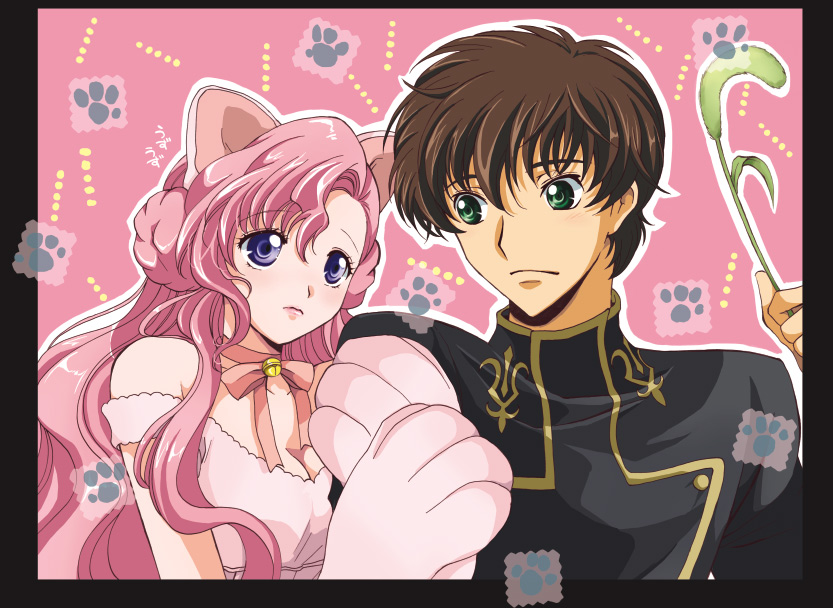 akina tsukako, euphemia li britannia, kururugi suzaku, code geass, bad id, bad pixiv id, 00s, animal ears, animal hands, brown hair, cat ears, cattail, donut hair bun, green eyes, hair bun, long hair, pink hair, plant, purple eyes